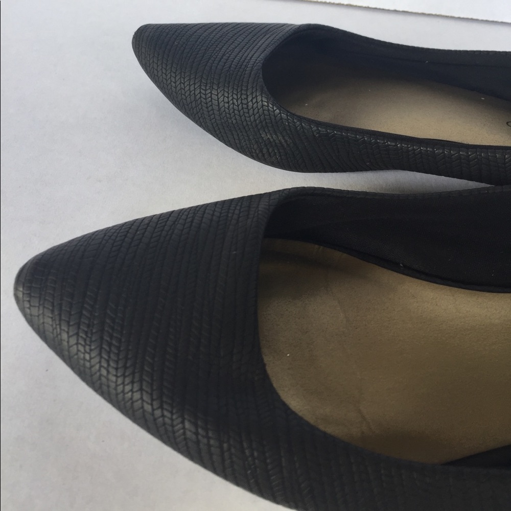 Black Plain flats